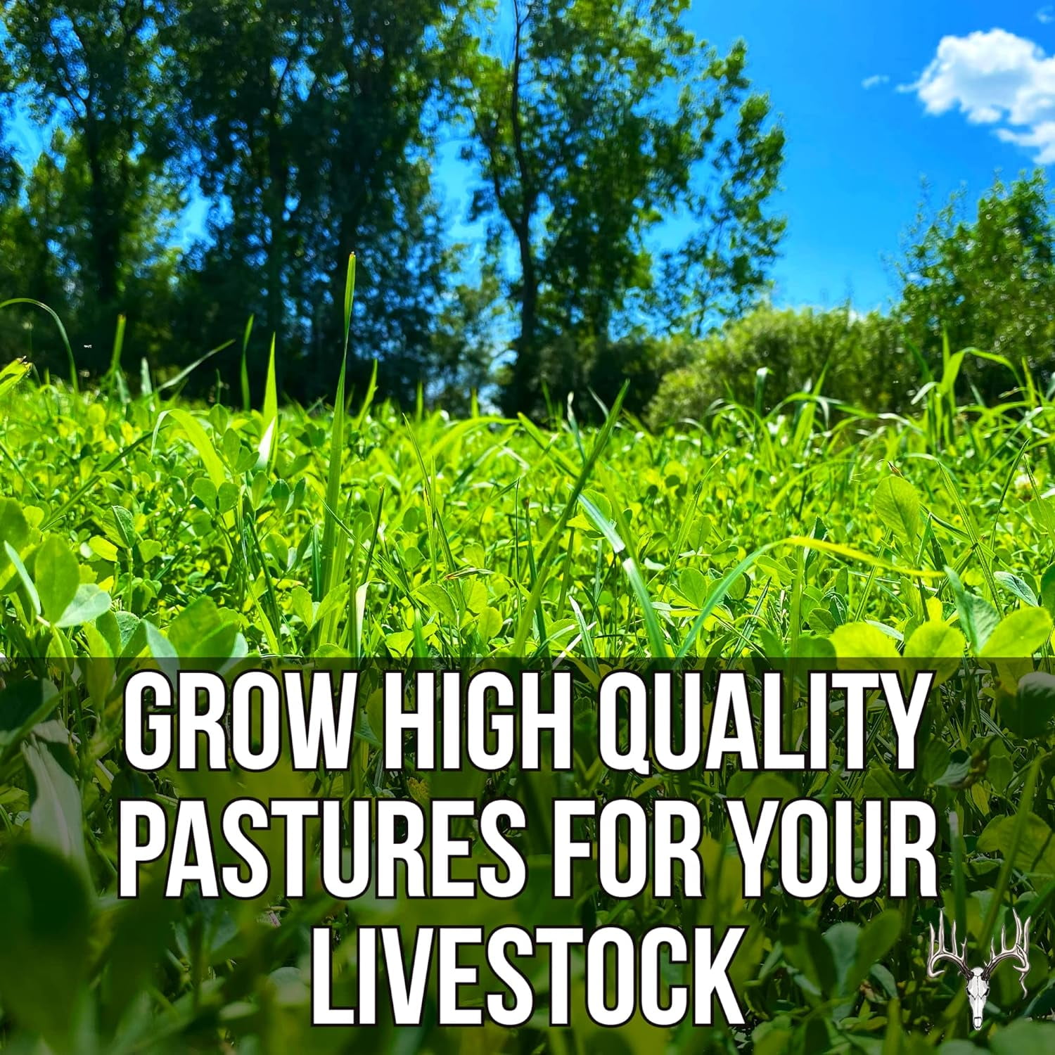 Crooked Bend Memas Moo Mix, 50LB Bulk, Farm Pasture Seed Blend for Horse, Cattle, Pig, Goat, Chicken, Duck, Sheep & Livestock, Grow Alfalfa & Perennial Grasses Fields, Graze & Cold Tolerant