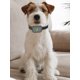 thumbnail image 3 of Shock Dog Trainer 300-500M recargable con control remoto para pequeños/medianos/grandes, 3 of 9