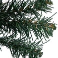 thumbnail image 5 of Northlight 2 FT Traditional Green Pine Artificial Christmas Tree, Unlit, 5 of 6
