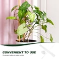 thumbnail image 3 of FUTUREORYY 1Set Clear Acrylic Rod Support Stake for Indoor Plants 15.7X0.4X0.4in, 3 of 8