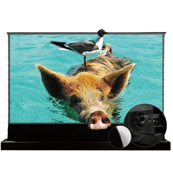 VIVIDSTORM S PRO P Motorized Tension Floor Rising UST ALR Perforated Projector Screen