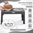 thumbnail image 4 of Elevated Dog Bowls with 4 Height Adjustable Dog Bowl Stand and 2 Stainless Steel Bowls, No Spill Raised Pet Feeder Bowlsfor Dogs and Pets, 4 of 6