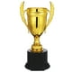 thumbnail image 1 of Trofeo Copa Premio Trofeo Trofeo de Plástico Copa Trofeo de Competición Trofeo de Fiesta Premio Trofeo Premio Deportivo Favor de Fiesta, 1 of 5