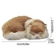 thumbnail image 3 of Simulation Toys Toys Simulation Models Children's Gifts, 3 of 6