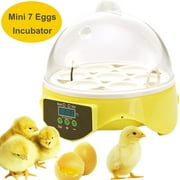 Automatic Egg Incubator with Temperature Control 7 Egg Mini Hatcher Machine for Chicken Ducks Birds Eggs