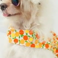 thumbnail image 6 of SPRING PARK Dog Dress Cute Fruit Series Pattern Pet Clothing with Elegant Ribbon Pet Apparel for Puppy Dogs and Cats on Wedding Holiday New Year Spring Summer, 6 of 7