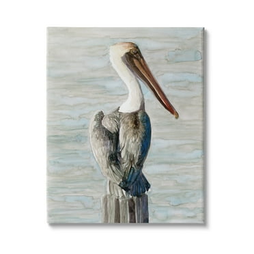 Stupell Industries Long Beak Pelican Watercolor Painting Coastal Waterfowl Bird, 36 x 48,Design by Stellar Design Studio