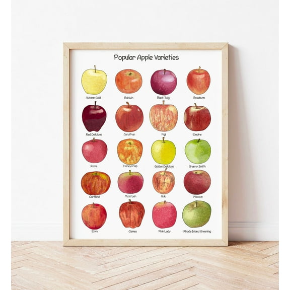369 Prints apple Poster Educational Wall Art Homeschool Classroom Decor Apple Kitchen Decor Montessori Charlotte Mason Preschool Prints UNFRAMED, 8x12