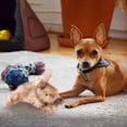 thumbnail image 4 of Peluche All For Paws Classic Conejo Marrón con Chirriador AFP, 4 of 11
