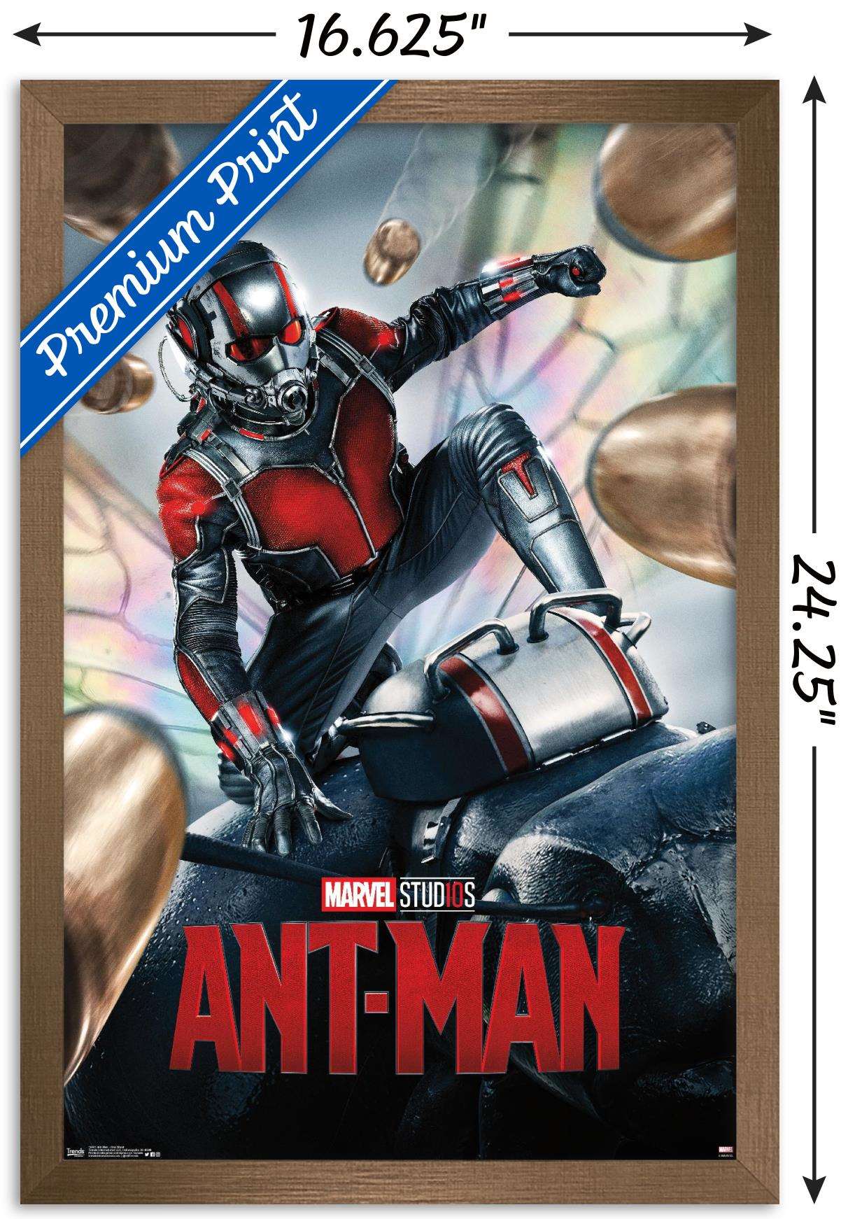 Marvel Cinematic Universe - Ant-Man - One Sheet Wall Poster, 14.725" x 22.375", Framed