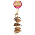 thumbnail image 2 of Prevue Pet Products Natural Physical & Mental Mangrove Bird Toy 62805, 2 of 3