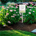 thumbnail image 3 of Eveokoki Please Do Not Pick Flowers Thank You Aluminum ​Yard Sign With Metal Stake For Garden Farm Decor Lawn Sign Stand Tin Sign Wildflowers Butterfly Garden Sign Outdoor 8.8x7 Inches, 3 of 6