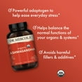 thumbnail image 4 of Dr. Mercola Organic Ashwagandha - Supports Energy Production & Adrenal Health - 800 mg Per Serving - Non-GMO, Gluten-Free & Soy-Free - Certified USDA Organic - 180 Capsules (90 Servings), 4 of 7