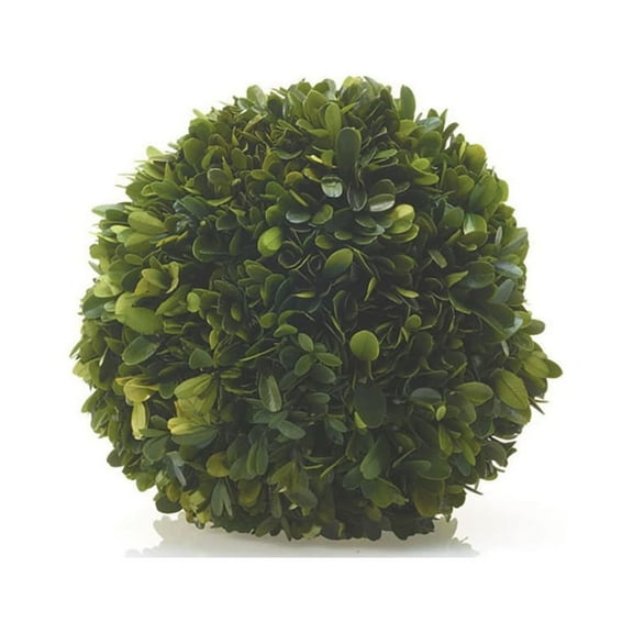 Accent Decor 62001.00 6 Boxwood Sphere"