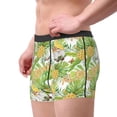 thumbnail image 4 of Fotbe Gnome and Pineapple Men’s Total Support Pouch Boxer Briefs, X-Temp Cooling, Moisture-Wicking Underwear, Regular, Long-leg and Trunk-X-Large, 4 of 9