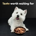 thumbnail image 6 of ( 2 Pack ) Cesar Loaf & Topper In Sauce Ham & Egg With Potato & Cheese Dog Food, 3.5 Oz. Trays, 6 of 6