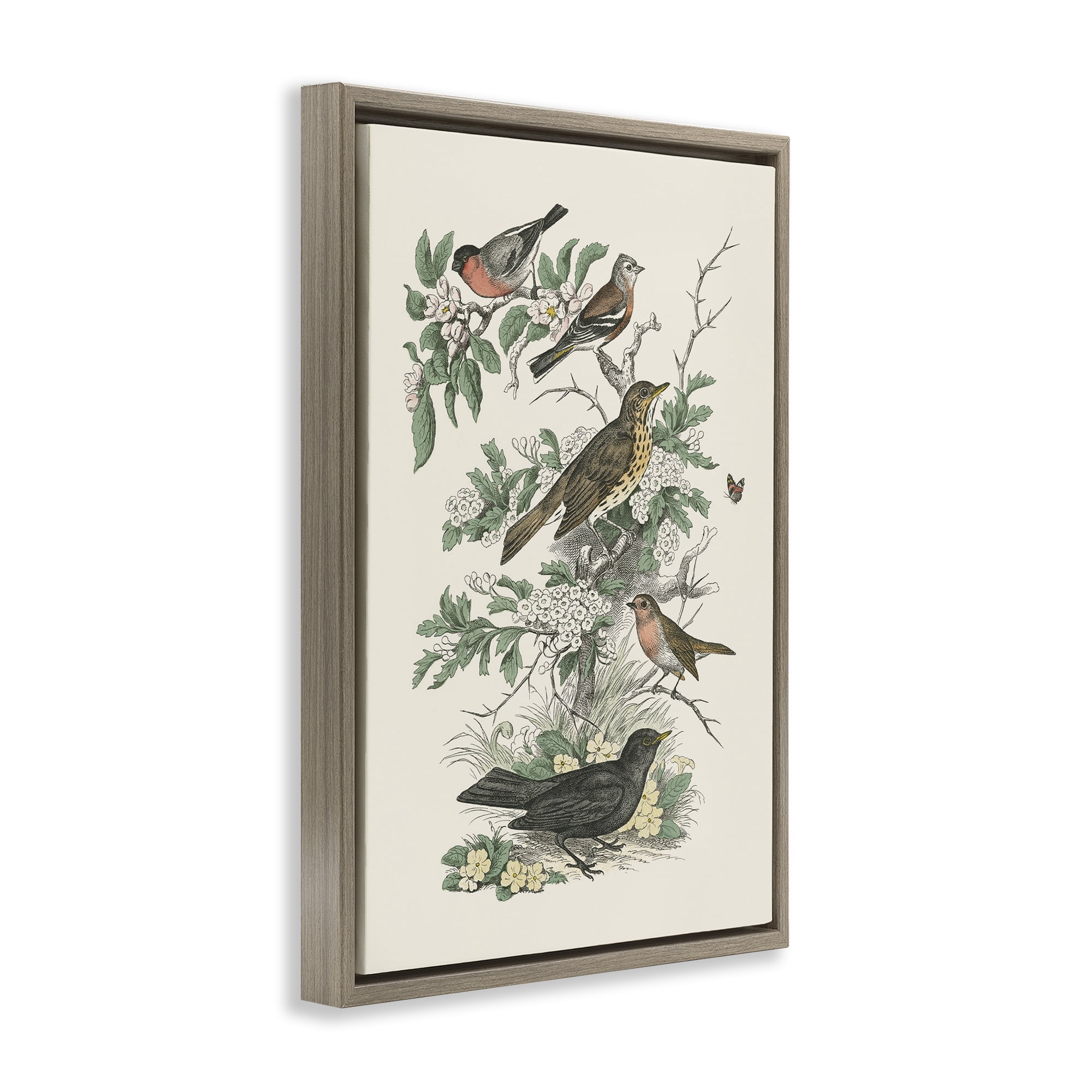 Stupell Industries Honeybloom Birds Perched Botanical & Floral Painting Brown Floater Framed Canvas Art Print Wall Art, 17 x 25
