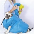 thumbnail image 4 of Pet Dryer, Safe Easy To Operate Dog Blow Dryer  for Shop, 4 of 8