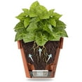 thumbnail image 5 of DecoPots - Self Watering Planter - 9.2 Inch Diameter - Indoor Outdoor with Bottom Watering and Water Level Indicator 9.2", Graphite, 5 of 9