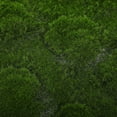 thumbnail image 3 of ULTNICE Faux Moss For Planters Fake Green Moss Green Plastic Decorative 1Pack For Gardens And Patios, 3 of 8