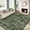 Green, variant on GlowSol 2'x6' Hallway Runner Rug Vintage Floral Area Rug Low Pile Non Slip Bedroom Rug Soft Accent Rugs for Kitchen Laundry, Green