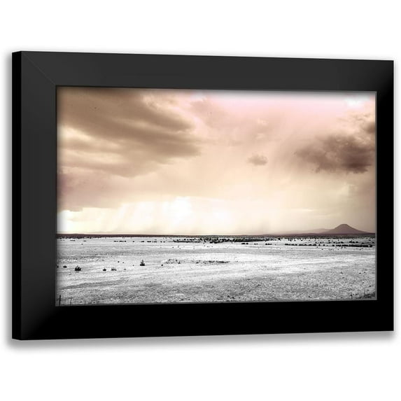 Sommers, Mindy 14x11 Black Modern Framed Museum Art Print Titled - Ginger Twilight