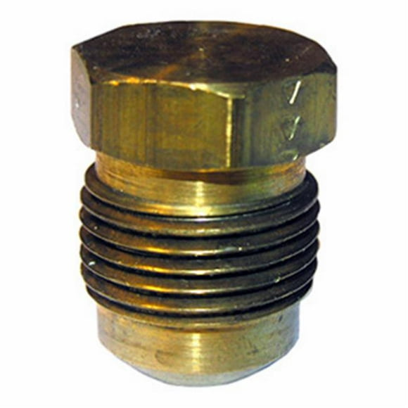 Gold Eagle-303 Products 207881 0.5 in. Brass Flare Plug