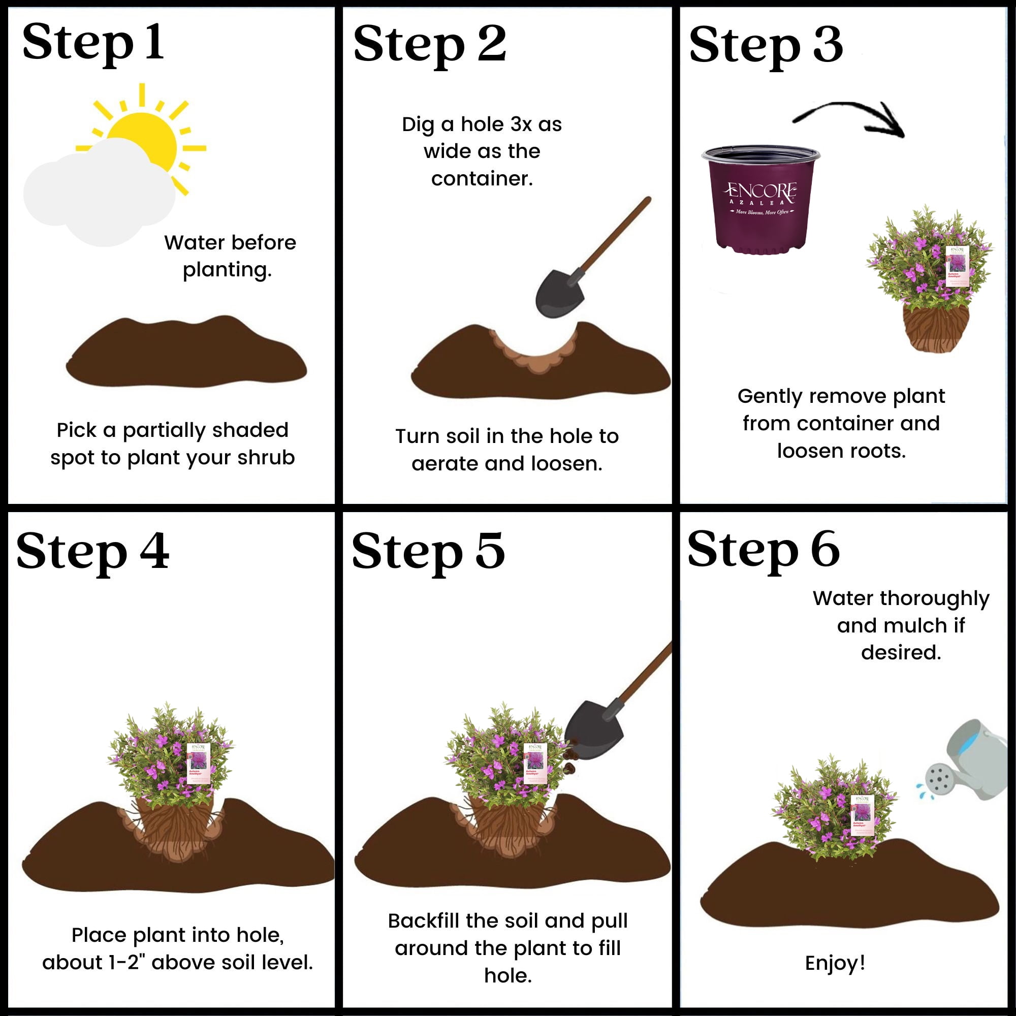 Encore Azalea Autumn Amethyst Shrub (5 Gallon)
