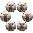 thumbnail image 3 of Coolnut 1PC Place Mats Highland Cow Round Placemat Heat-Resistant Placemats Dining Table Mat Circle Shape 15.4" for Kitchen/Dinner/Party/Restaurant Home Decor Gifts, 3 of 7