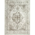 BERTHMEER 4'x6' Area Rugs Washable Vintage Oriental Rugs for Office