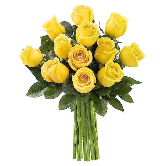 Kabloom Handpicked Fresh Yellow Roses Bouquet, 12 Long-Stem Flowers