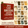 thumbnail image 3 of Beautynvta Cat Breeds Advent Calendar 2025, 24 Days Christmas Countdown Calendar with 24 Breeds Cat Ornaments, Unique Surprise Gifts for Teens Grandkids, 3 of 5
