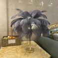 thumbnail image 4 of Feather Table Lamp, Touch Switch Dimmable Modern Ostrich Feather Lamp with 3 Color Temp & USB Port, Elegant Romantic Decorative Bedside Table Lamp for Bedroom, Living Room, Wedding, 4 of 8