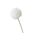 thumbnail image 2 of CHENjy Artificial Flowers Dandelion, Round Spherical Faux Floral for Vase, Realistic Silk Home Decor for Living Room Table Centerpieces, White, 1 Piece, 2 of 6