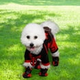 thumbnail image 3 of Ant-Man Cosplay Body ropa (A L), 3 of 9
