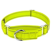 Country Brook Petz Hot Yellow Reflective Nylon Martingale Dog Collar, Medium