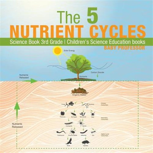 Pre-Owned The 5 Nutrient Cycles - Science Book 3rd Grade Children's Science Education books (Paperback)