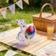 thumbnail image 3 of Decoraciones de Pascua, adornos de Pascua, decoraciones de escritorio de acrílico de conejo de Pascua, lindas figuras de conejo con huevo colorido para rellenar canastas de Pascua, regalos para niños,, 3 of 5