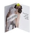 thumbnail image 2 of American Greetings Doug the Pug Birthday Card with Foil, 2 of 4