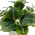 thumbnail image 2 of Mainstays Indoor Artificial Prayer Plant, 10 in, Polyester in White Plastic Pot, Green, 1 Piece, 2 of 9
