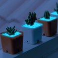 thumbnail image 4 of 300pcs Diamond Shaped Luminous Stone Glow in The Dark Rocks Luminous Pebbles for Fish Tank Aquarium Bonsai Yard Decor, 4 of 6