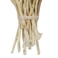 thumbnail image 4 of Vickerman Natural Botanicals 11" x 2-4" Conical Gum Branch Bleached, 20 stems per unit, 4 of 5