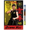 Cobra Kai - Miguel Wall Poster, 22.375" x 34"