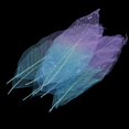 thumbnail image 3 of 50pcs Natural Magnolia Skeleton Leaf Card Making Embellishment, 3 of 8