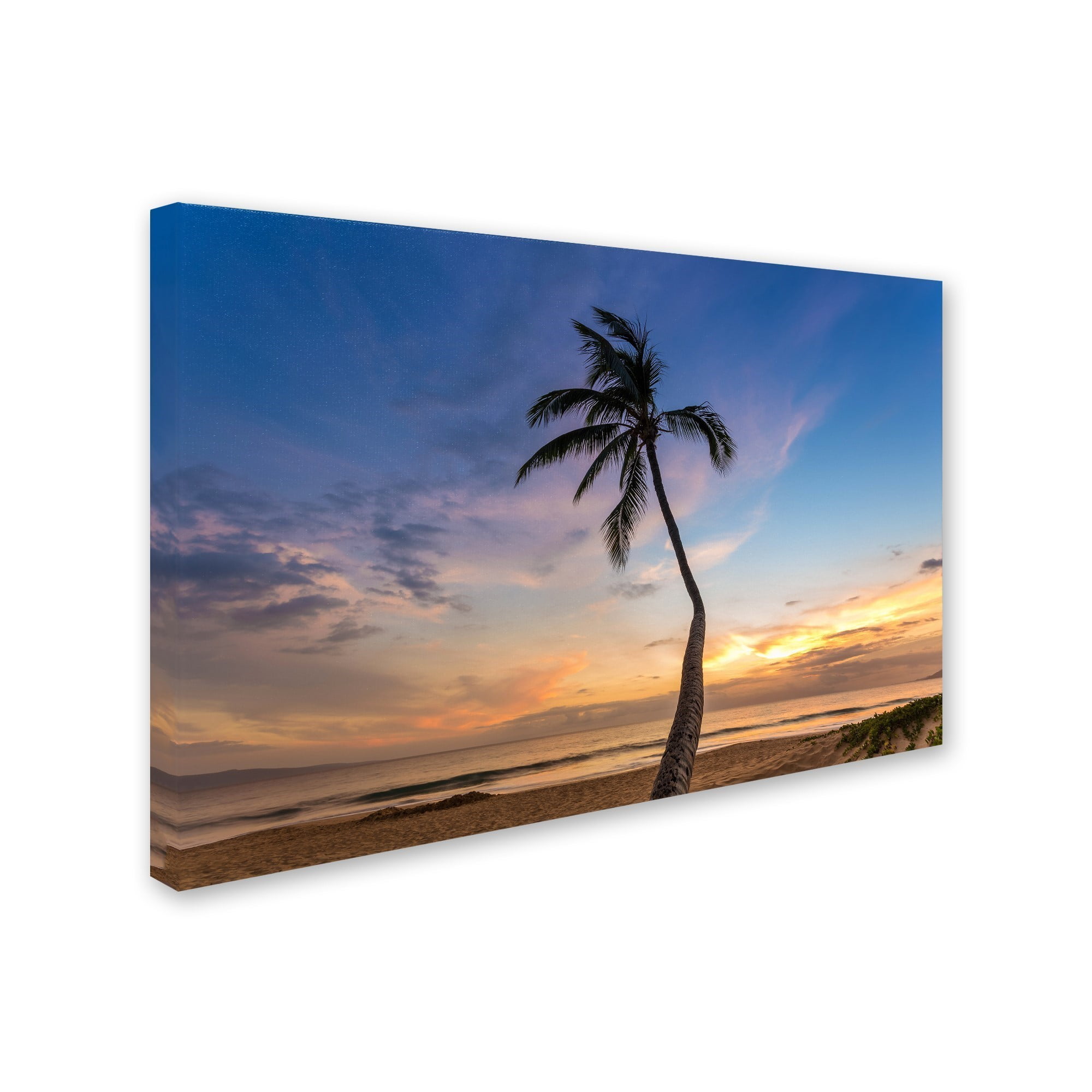 Trademark Fine Art 'Sunset Palm Tree' Canvas Art by Pierre Leclerc