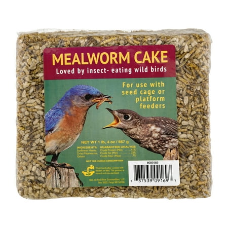 Mealworm Cake Wild Bird Food, 20 oz. (Best Food For Mealworms)