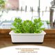 thumbnail image 3 of unbranded 2Ud Macetero Para Plantas Con Fácil Ideal Para Huertos Y, 3 of 8