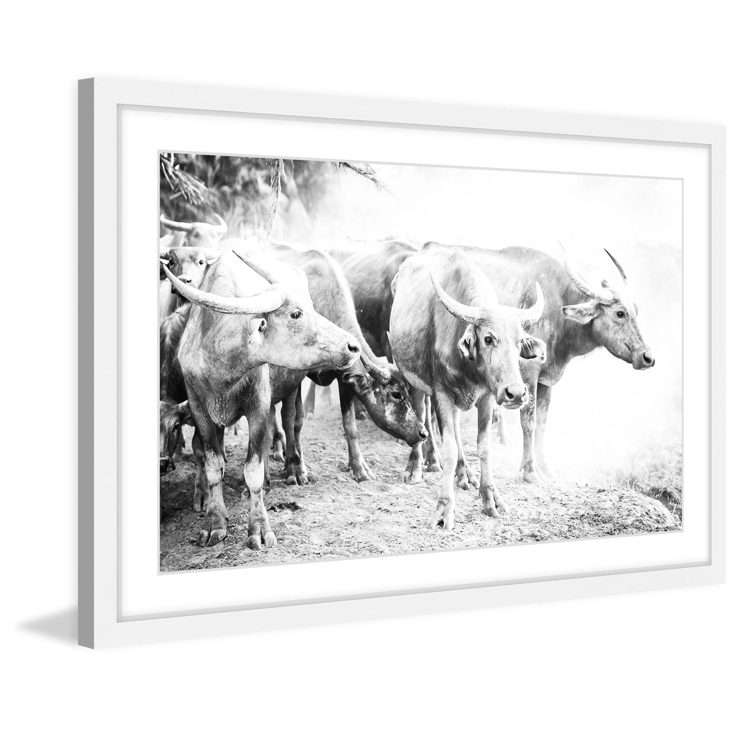 Marmont Hill "Bovine Herd" Framed Painting Print