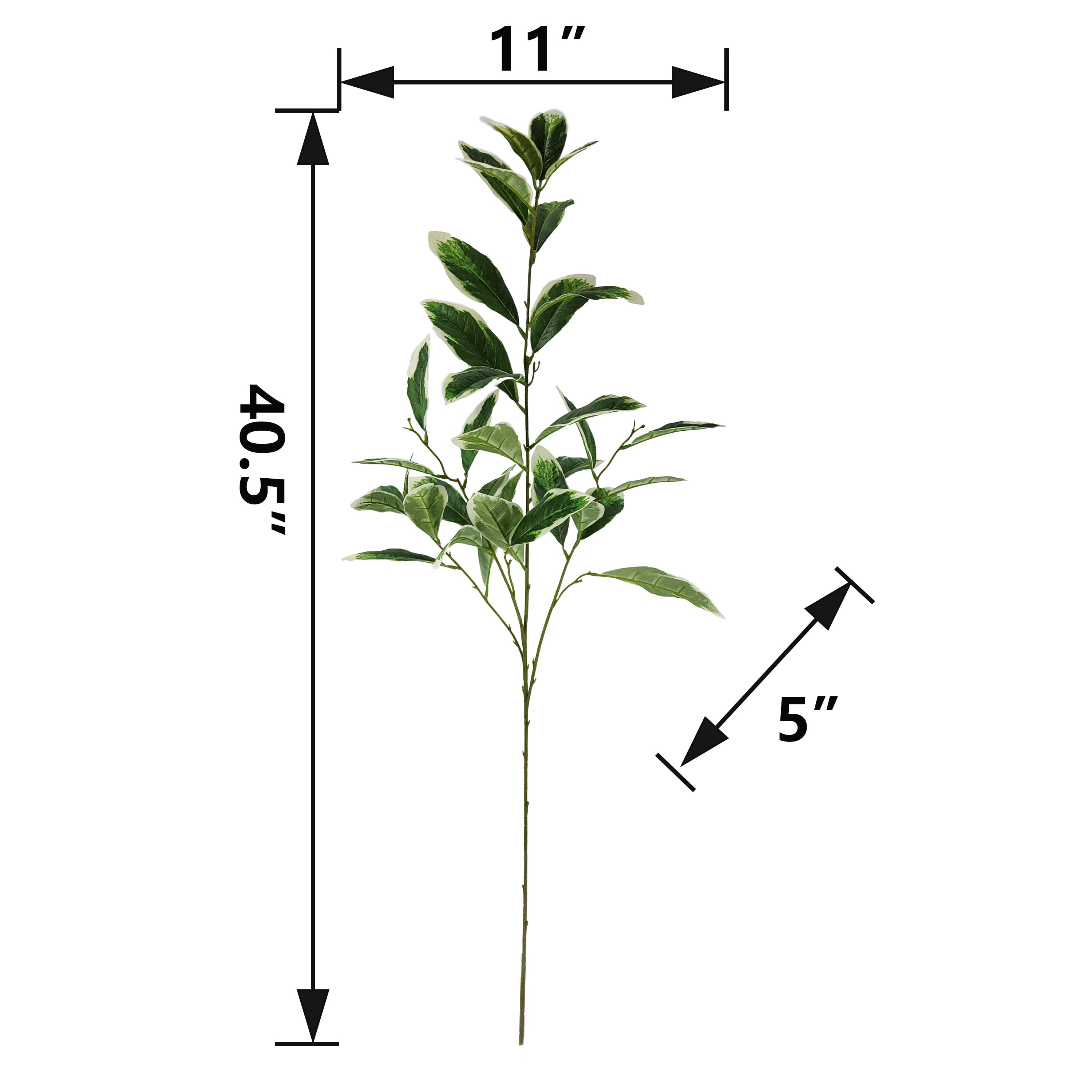 Mainstays 40.5" Indoor Artificial Foliage Stem, Peperomia, Green and White Color.