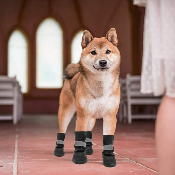 Doggie boots for large dogs cheap